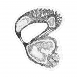 A day in Asia 202108241358