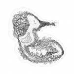 A day in Asia 202108250050