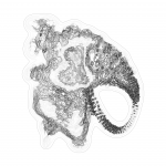 A day in Asia 202108251212