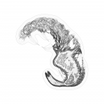 A day in Asia 202108252255