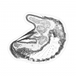 A day in Asia 202108260504