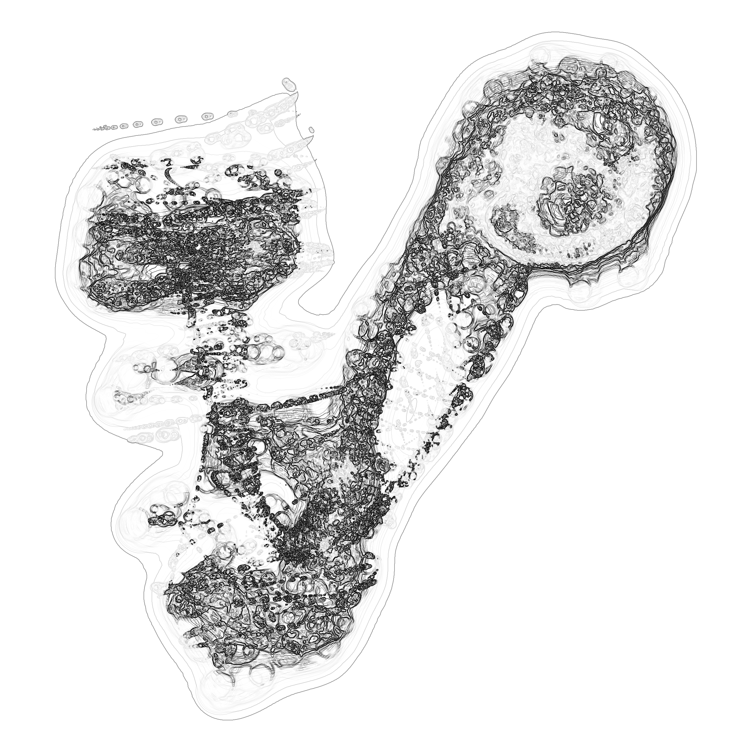 A day in Asia 202108261750