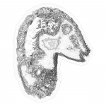 A day in Asia 202108262128