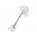 A day in Asia 202108271005