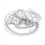 A day in Asia 202108282007