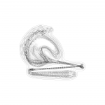 A day in Asia 202108291030