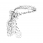 A day in Asia 202108291226