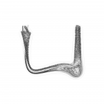 A day in Asia 202108301206