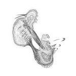 A day in Asia 202108310359