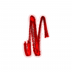 A day in Asia 202109021838