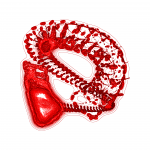 A day in Asia 202109022135