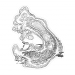 A day in Asia 202109041103