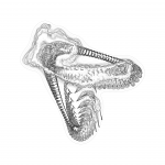 A day in Asia 202109042340