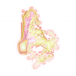 A day in Asia 202109061709