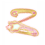 A day in Asia 202109061906