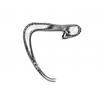 A day in Asia 202109070322