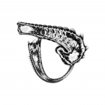 A day in Asia 202109090912