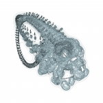 A day in Asia 202109101059