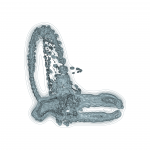 A day in Asia 202109101211