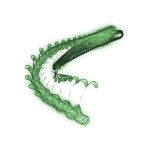 A day in Asia 202109111126