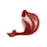 A day in Asia 202109121025