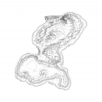 A day in Asia 202109141301