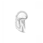 A day in Asia 202109160041