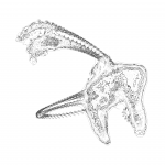 A day in Asia 202109160928