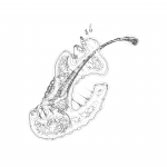 A day in Asia 202109161152