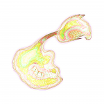 A day in Asia 202109170048