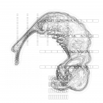 Asia with Multi-Standard 202109190801