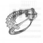 Asia with Multi-Standard 202109190924