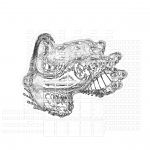 Asia with Multi-Standard 202109200246