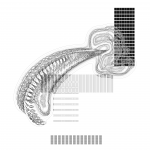 Asia with Multi-Standard 202109231046