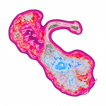 A day in Asia 202109250421