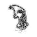 A day in Asia 202109260155