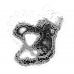 A day in Asia 202109270428