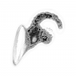 A day in Asia 202109272312