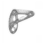 A day in Asia 202109280658