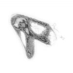 A day in Asia 202109281631