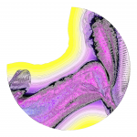 A day in Asia 202109290230 DigitalMicroscope version