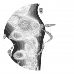 A day in Asia 202109300650 DigitalMicroscope version