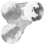 A day in Asia 202110022114 CompoundDigitalMicroscope version