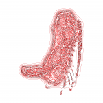 A day in Asia 202110070740