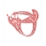 A day in Asia 202110071435