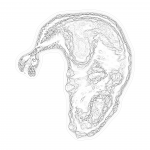 A day in Asia 202110080437