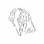 A day in Asia 202110090501