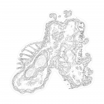 A day in Asia 202110091414