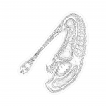 A day in Asia 202110100427