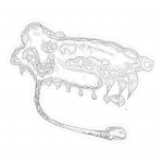 A day in Asia 202110102252